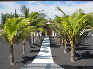 blood pressure app ui